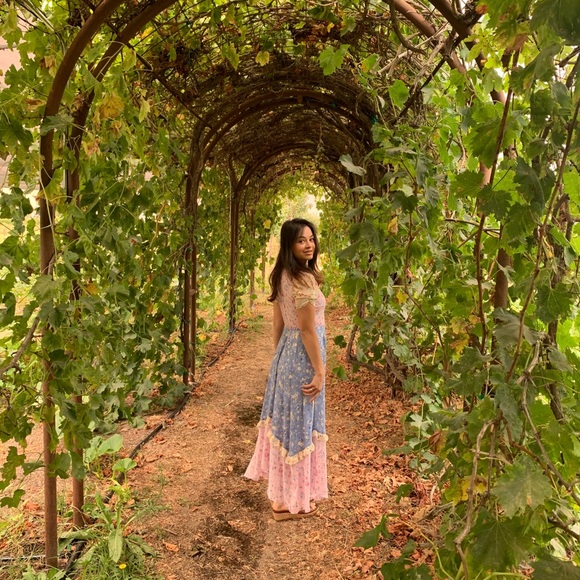 Meet your Posher, Posh - Picture 1 of 8